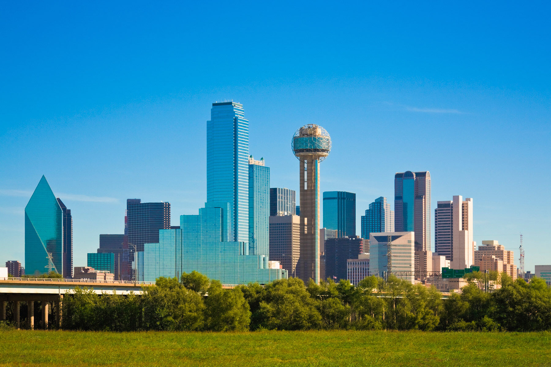 Artificial grass in Dallas, TX