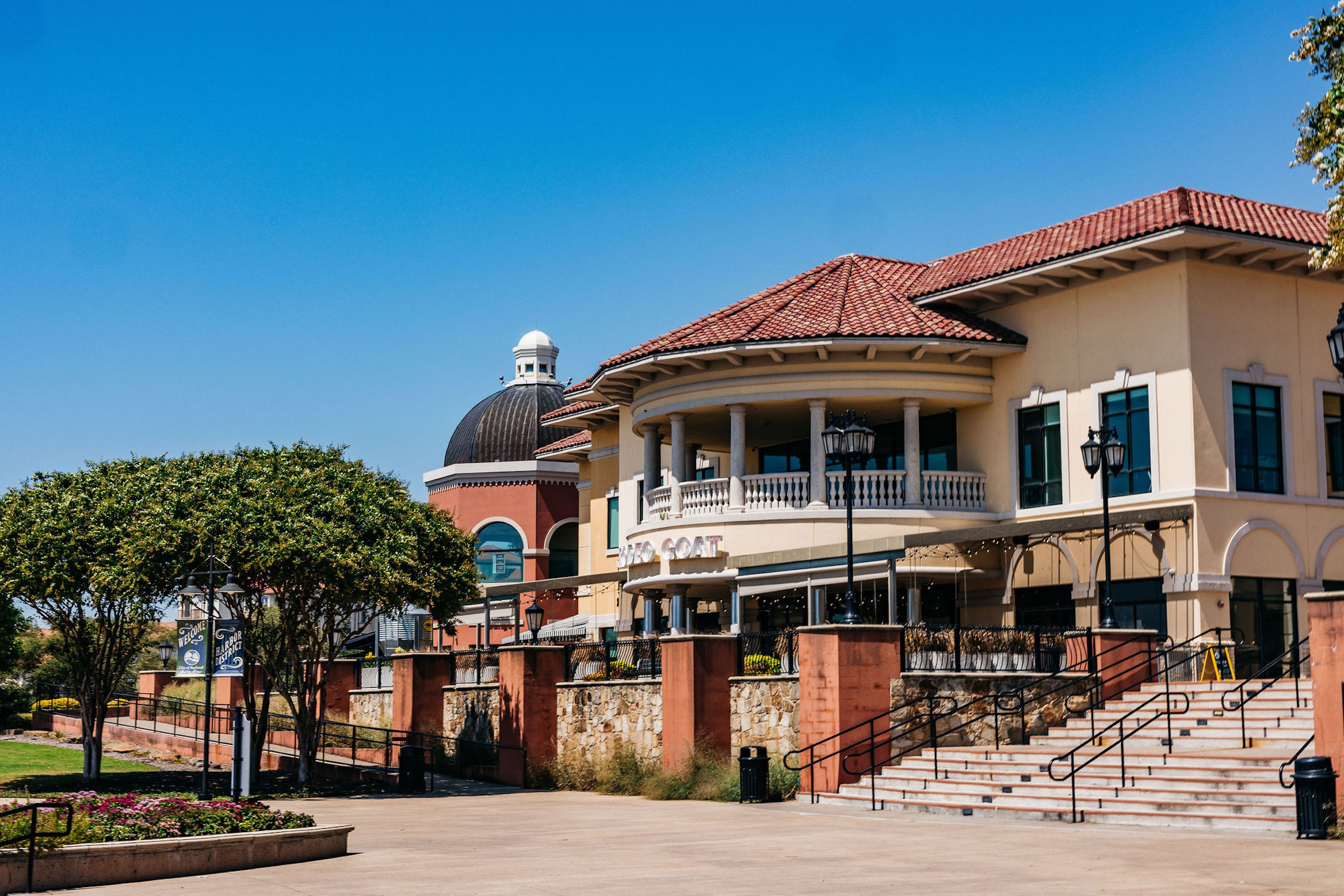 Artificial grass in Rockwall, TX